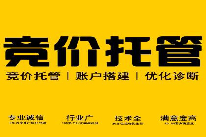 某行业SEM竞价托管全解析